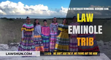 Understanding Detailed Remedial Schemes in Seminole Tribe Constitutional Law