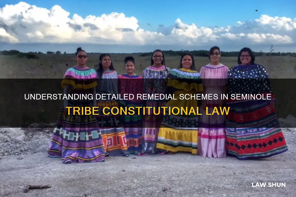 what is a detailed remedial scheme con law eminole trib