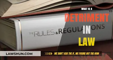 Understanding Detriment in Law: A Comprehensive Guide