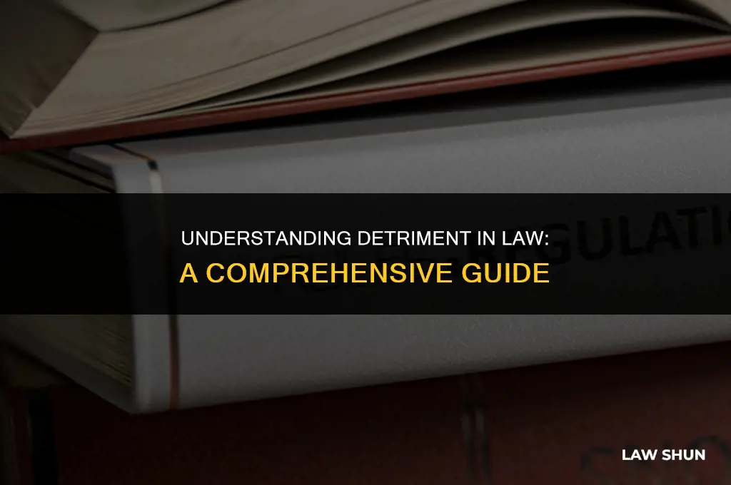 what is a detriment in law