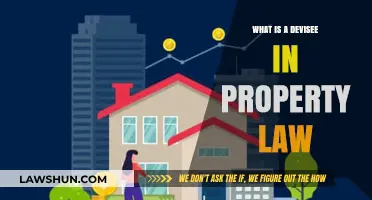 Understanding Devisees: Key Concepts in Property Law Inheritance Explained