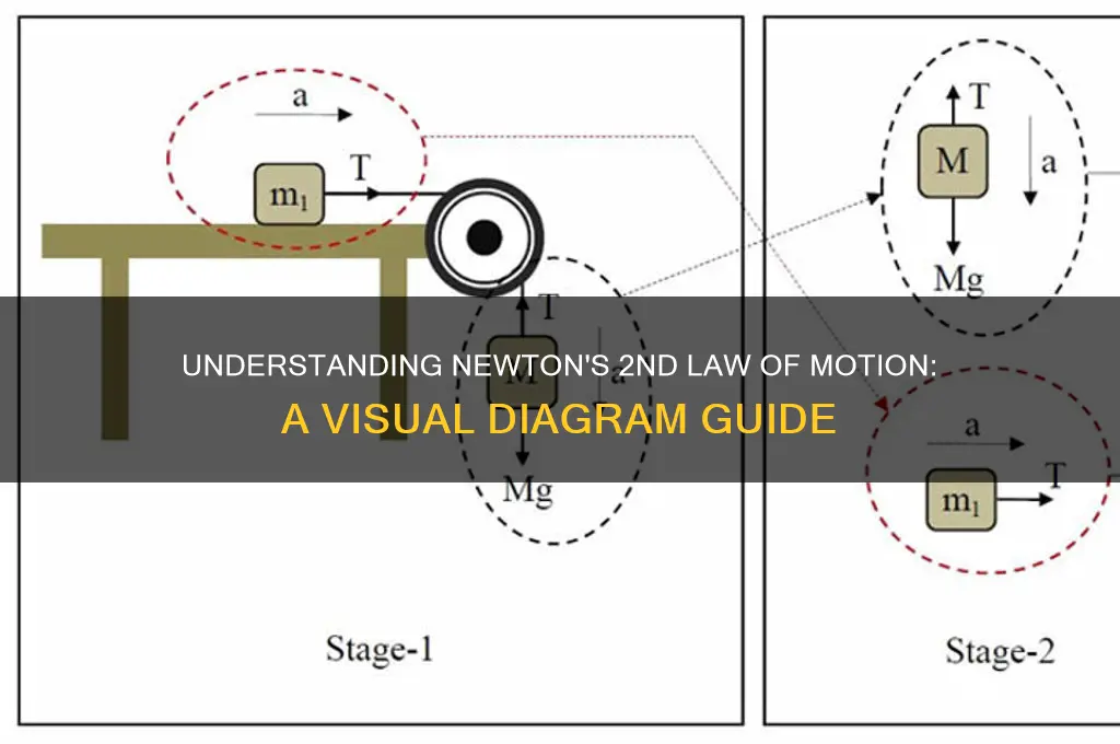what is a diagram of the 2nd law of motion
