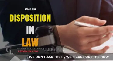 Understanding Dispositions in Law: A Comprehensive Guide
