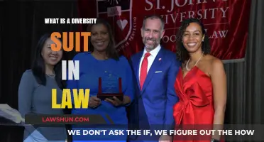 Understanding Diversity Suits: Legal Frameworks for Equal Representation