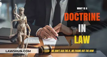 Understanding Legal Doctrines: A Comprehensive Guide to Their Role and Impact