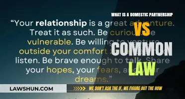 Domestic Partnership vs. Common Law: What's the Difference?