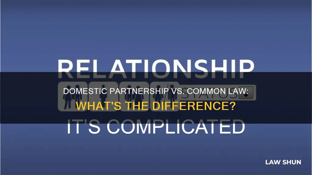 what is a domestic partnership vs common law
