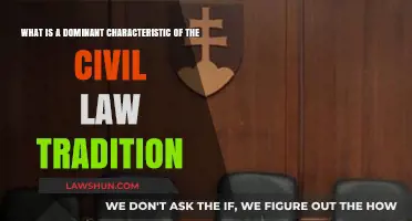The Codification Principle: A Defining Feature of Civil Law Systems