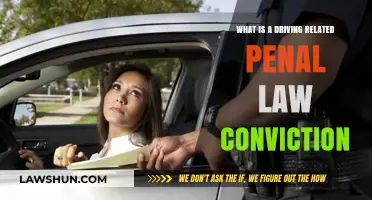 Understanding Driving-Related Penal Law Convictions: Legal Implications Explained