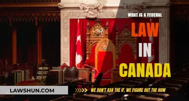 Federal Laws in Canada: What Are They?