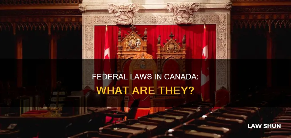 what is a federal law in canada