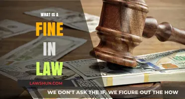 Understanding Fines in Law: A Comprehensive Guide
