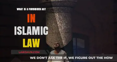 Understanding Forbidden Acts in Islamic Law: Key Prohibitions Explained