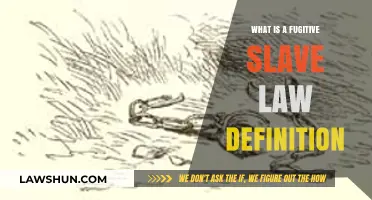 Understanding the Fugitive Slave Law: Definition, Impact, and Historical Context