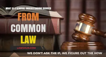 Understanding Common Law: General Principles Explained