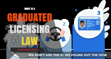 Gradual Freedom: Graduated Licensing Laws Explained