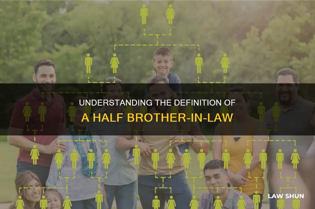 what is a half brother in law