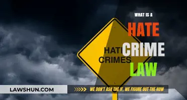 Understanding Hate Crime Laws: Protecting Diversity and Inclusion