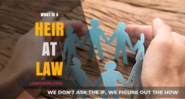 Understanding Heir at Law: A Comprehensive Guide to Inheritance Rights