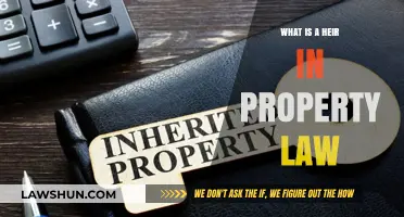 Understanding Heirs in Property Law: Rights, Succession, and Legal Implications