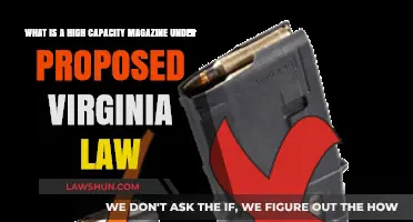 Understanding Virginia's Proposed High-Capacity Magazine Definition and Legal Implications