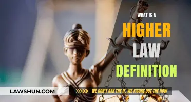 Understanding Higher Law: Definition, Principles, and Legal Implications Explained