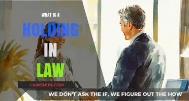 Understanding Holdings in Law: A Comprehensive Guide