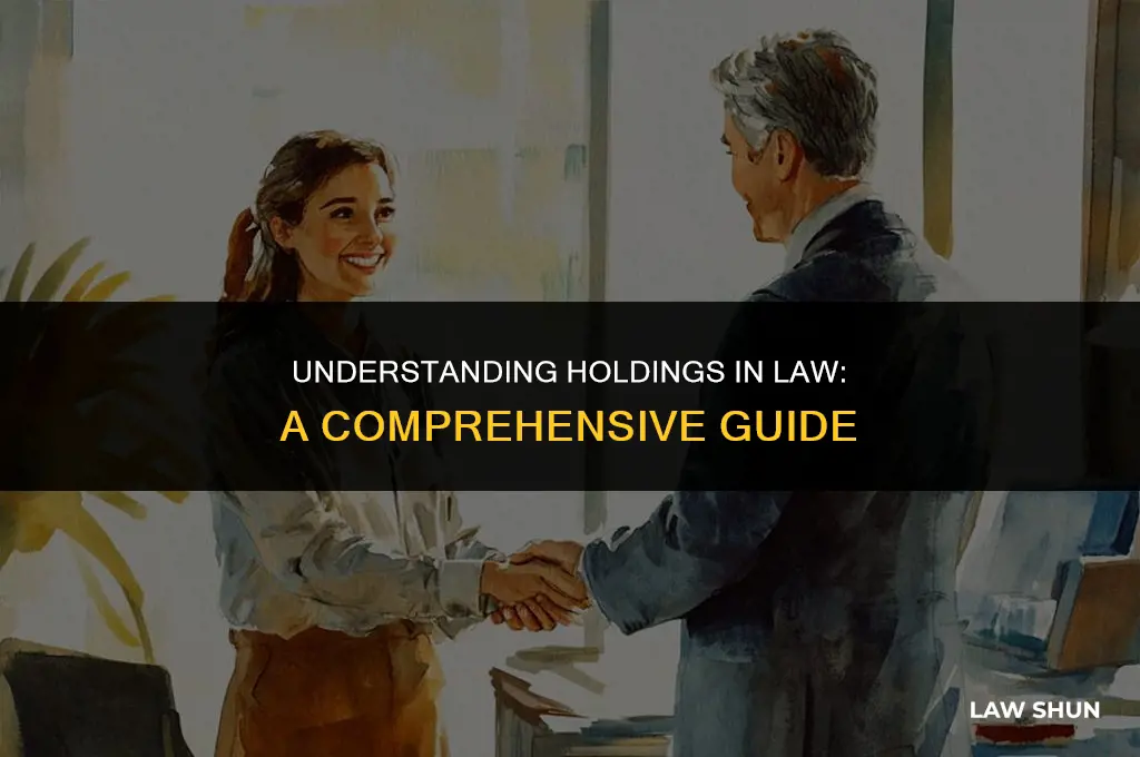 what is a holding in law
