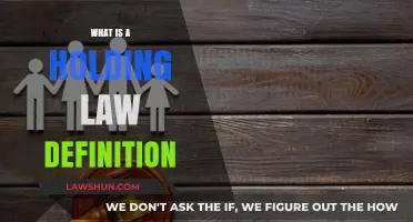 Understanding Holding Law: Definition, Importance, and Legal Applications Explained