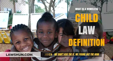 Understanding the Legal Definition of a Homeless Child: Key Insights