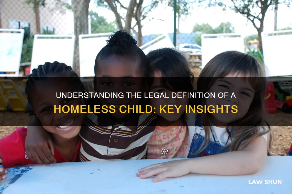 what is a homeless child law definition