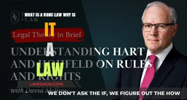Understanding HONC Law: Its Purpose, Importance, and Legal Significance
