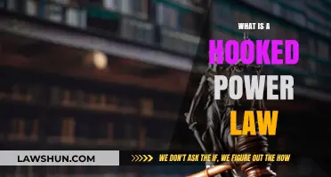 Understanding Hooked Power Laws: A Comprehensive Guide to Their Dynamics