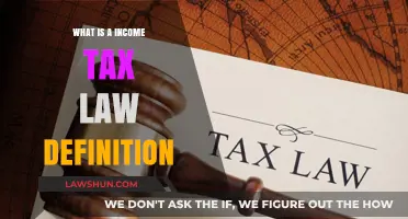 Income Tax Law: Definition and Basics