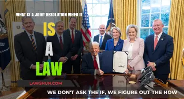 Understanding Joint Resolutions: How They Become Law in Congress