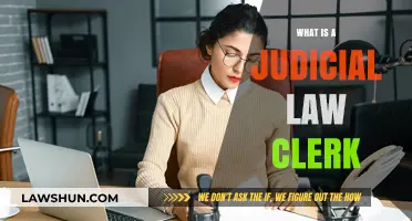 Exploring the Role and Responsibilities of a Judicial Law Clerk