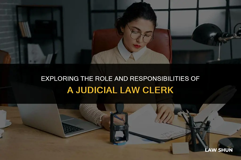 what is a judicial law clerk