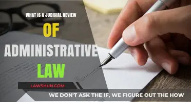 Understanding Judicial Review: Key Role in Administrative Law Explained