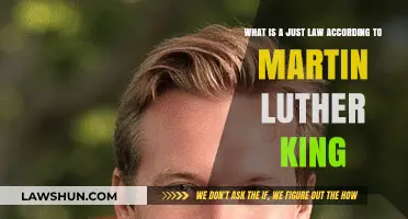 Justice and Morality: Martin Luther King's Definition of a Just Law