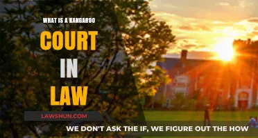 Understanding Kangaroo Courts: Unfair Legal Proceedings Explained