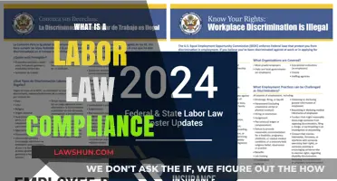 Understanding Labor Law Compliance: Essential Rules for Employers and Employees