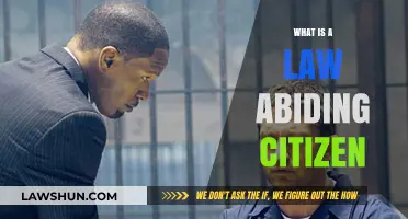 Understanding the Traits and Responsibilities of a Law-Abiding Citizen