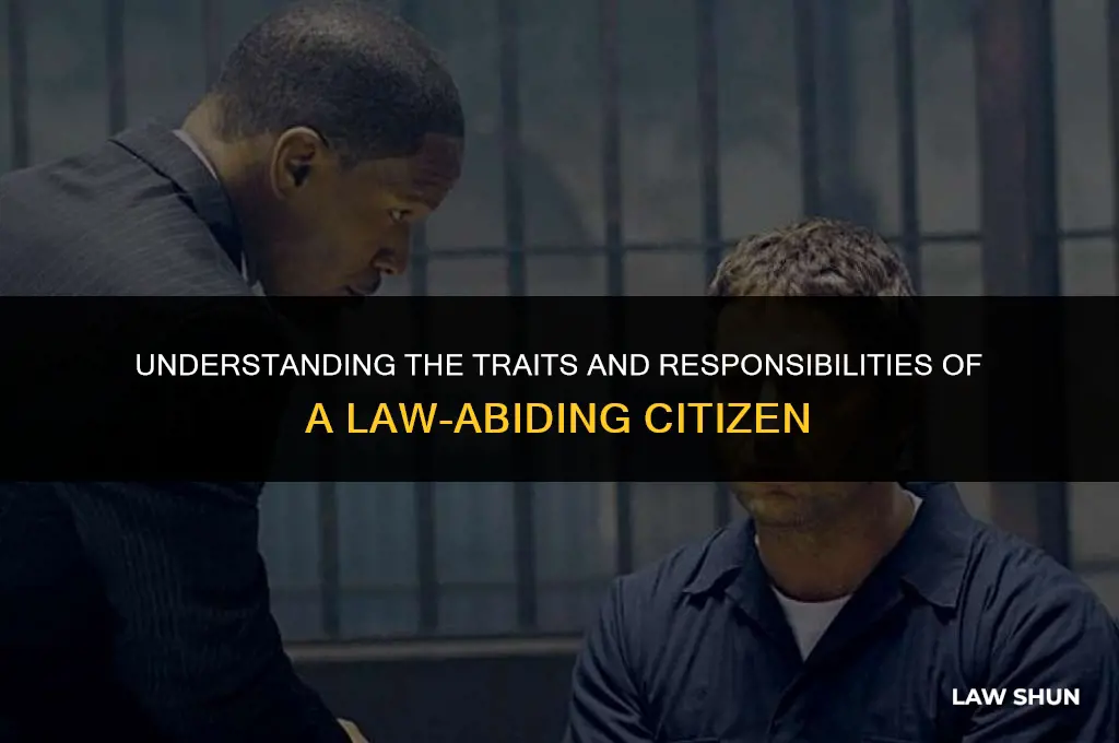 what is a law abiding citizen