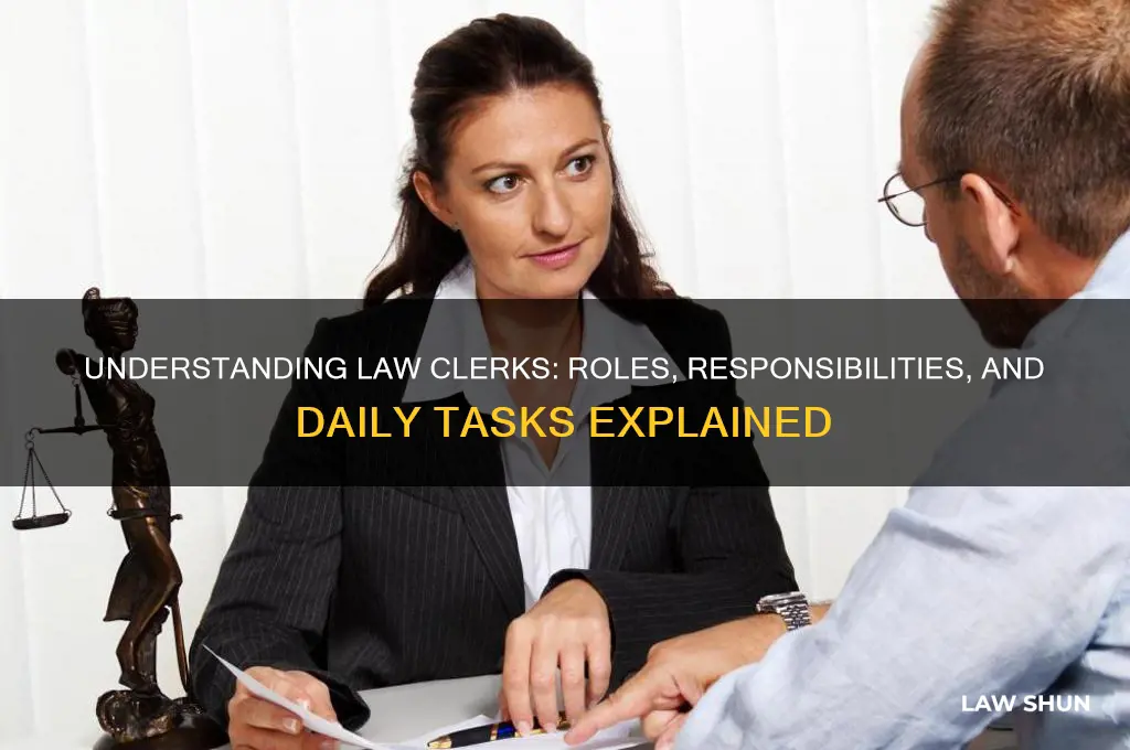 Understanding Law Clerks: Roles, Responsibilities, And Daily Tasks ...