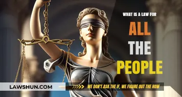 Understanding the Universal Principle of Law for Everyone