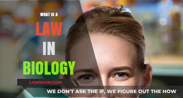 Exploring Biological Laws: The Principles Governing Life