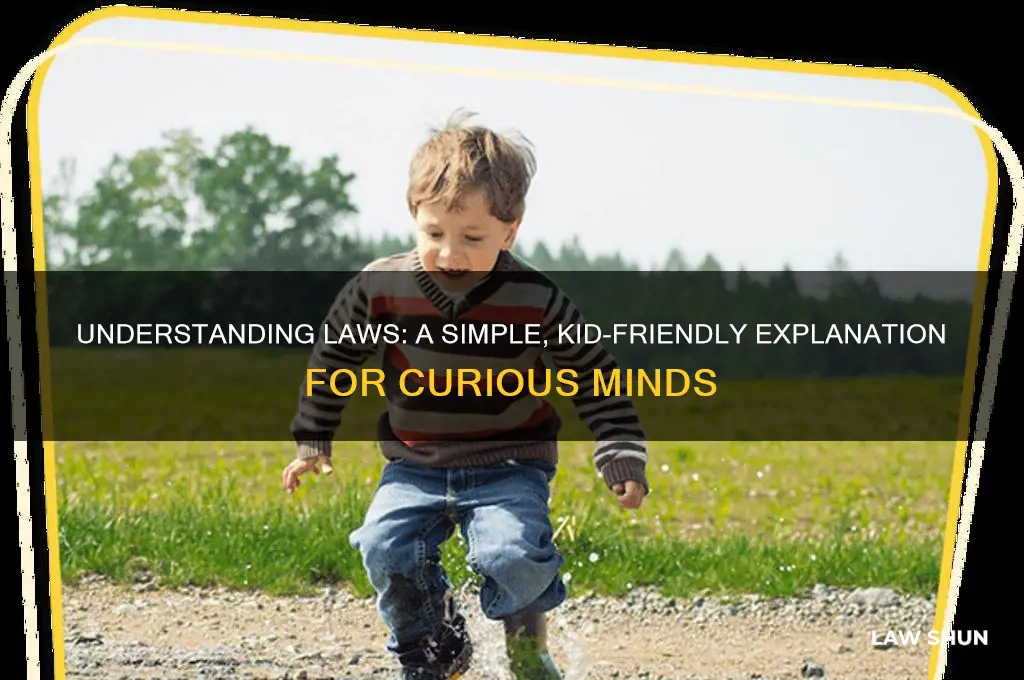 what is a law kid friendly definition