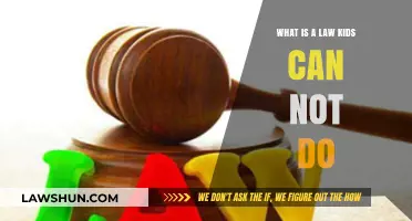 Kids and Laws: What's Off-Limits?