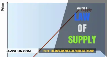 Exploring the Fundamentals: What Drives the Law of Supply?