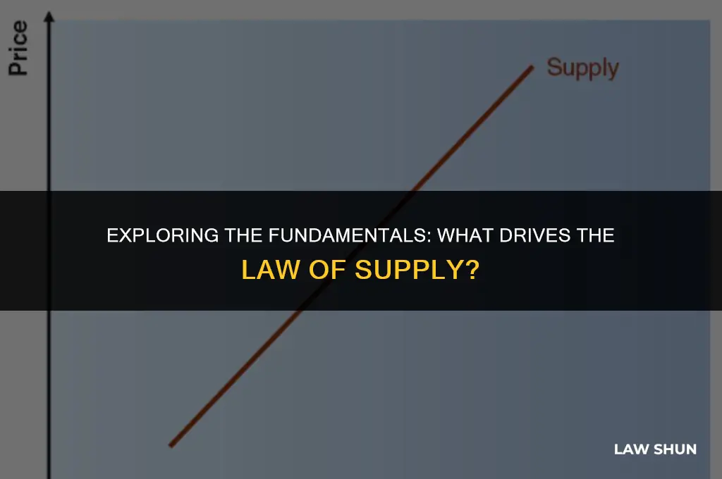 what is a law of supply